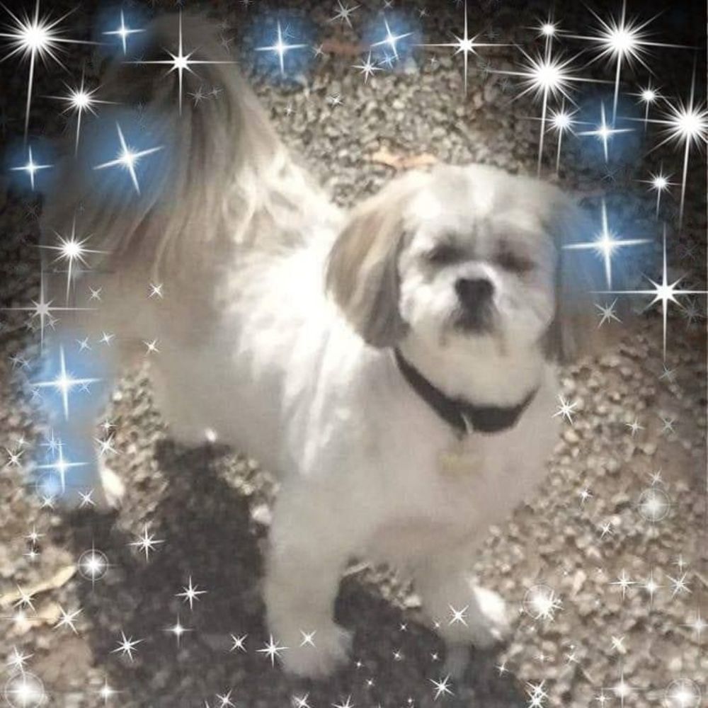 Meet your Posher, Linda